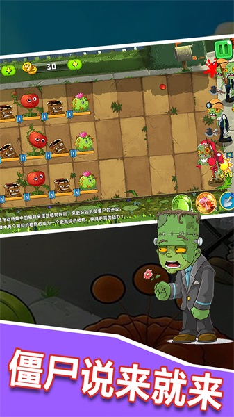 植物僵尸大作战融合版图5
