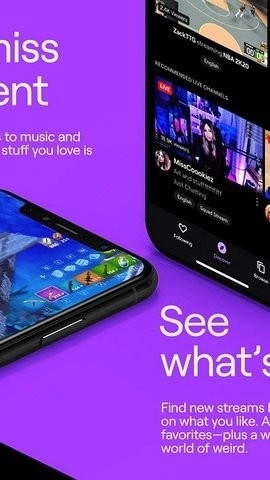 Twitch图1