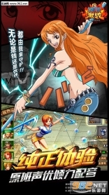 海贼大乱斗安卓版