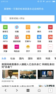 VIP浏览器图2