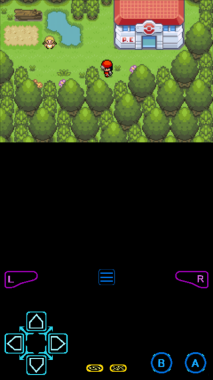 口袋妖怪xy（超V版(3)