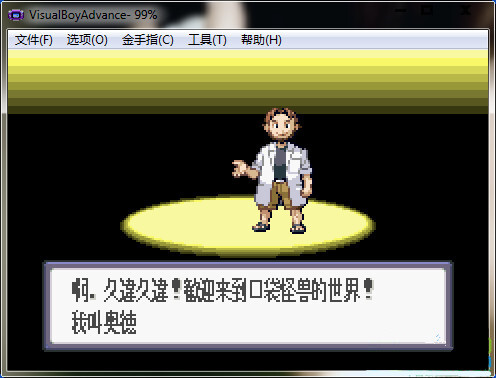 口袋妖怪蓝宝石中文版截图1