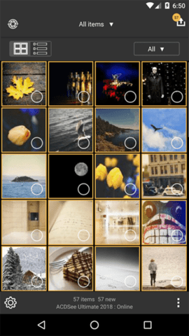 ACDSee Mobile Sync图2