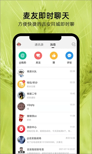 麦地网图4