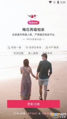 梅花再婚相亲(3)