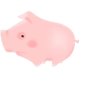 期刊杂志  V1.0.6