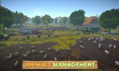 模拟农场2024图4