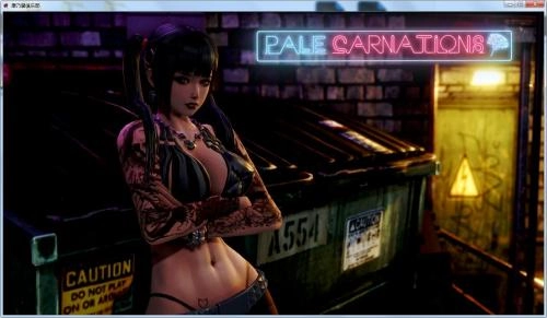 康乃馨俱乐部图1