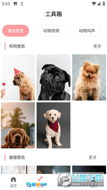 宠物翻译器免费正版图3