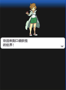 口袋妖怪黑白21