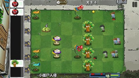 僵尸花园保卫战(1)