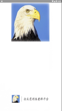 白头鹰网络兼职图1