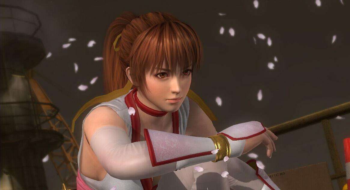 死或生：天堂手机版图2