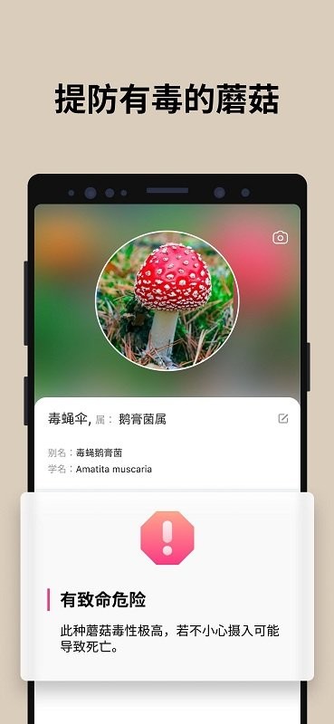 蘑菇识别图2