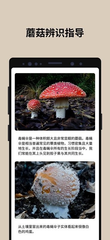 蘑菇识别图3