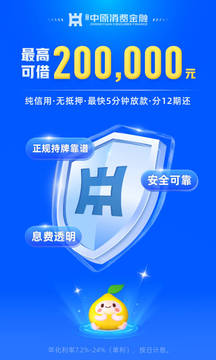 中原消费金融(3)