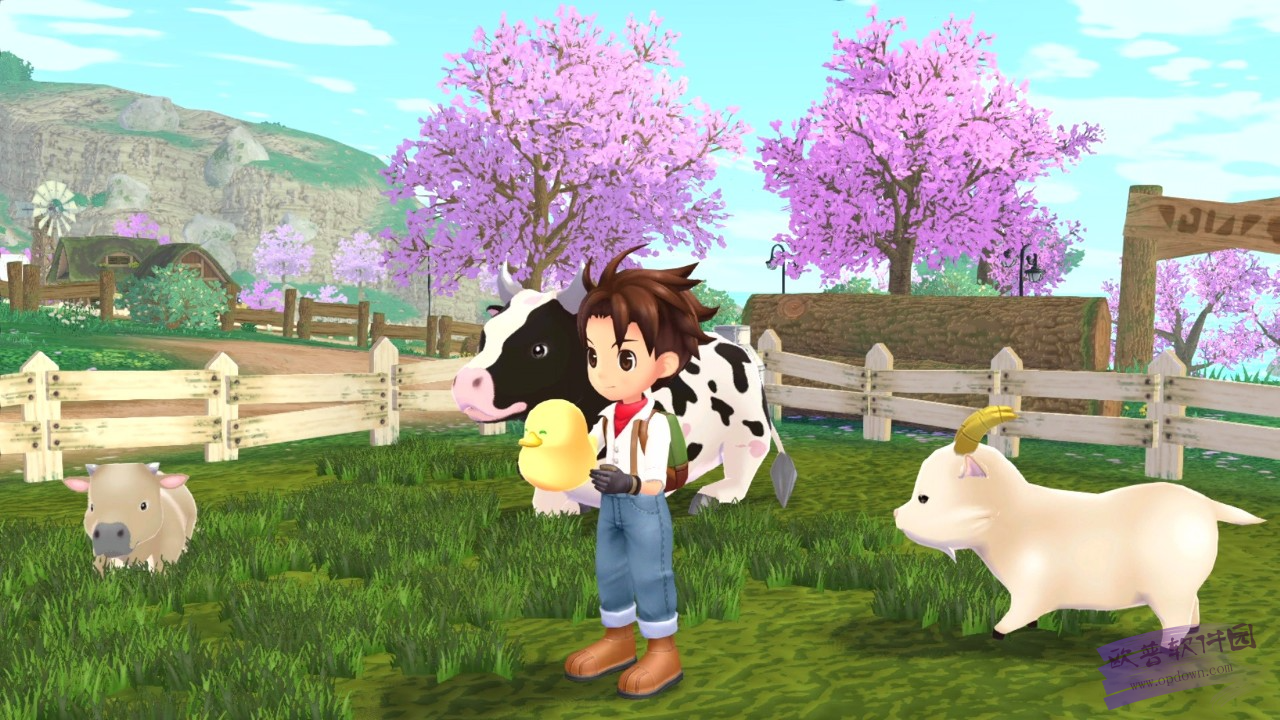 牧场物语矿石镇的伙伴们手机版(2)