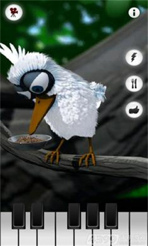 会说话的拉里鸟最新版(3)