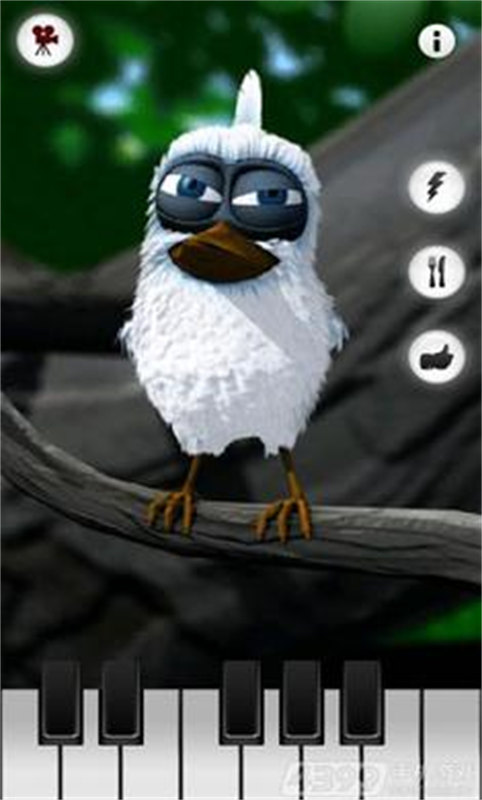 会说话的拉里鸟最新版(2)