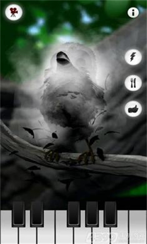 会说话的拉里鸟最新版(1)