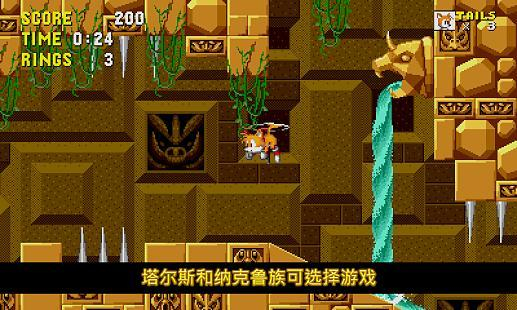 刺猬索尼克游戏手机版(4)