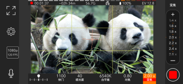 ProMovie 专业摄像机(5)