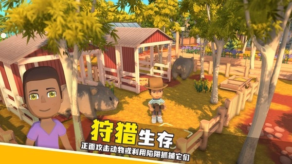 Dinkum澳洲梦想镇中文正版(2)