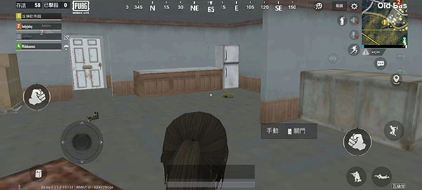 pubgmobile亚服(1)