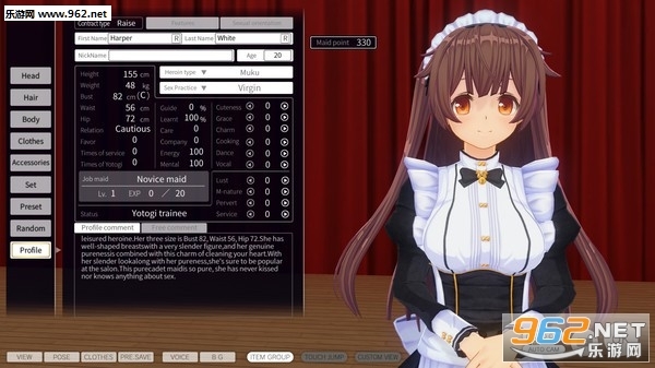 3D定制女仆2手机版(4)