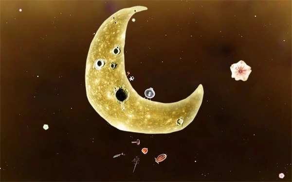 植物精灵手机版(2)