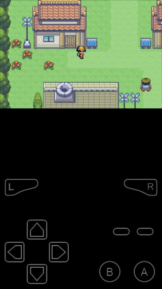 口袋妖怪极光石手机版(3)