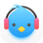 Lark Player汉化版