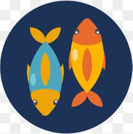 金鱼影视免费版