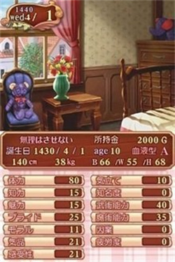 美少女梦工厂4完璧版图2