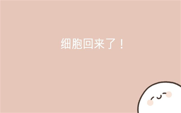 我的49天与细胞图2