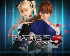 生死格斗5：无限果盘版图7