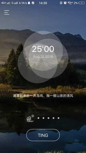 TING图2