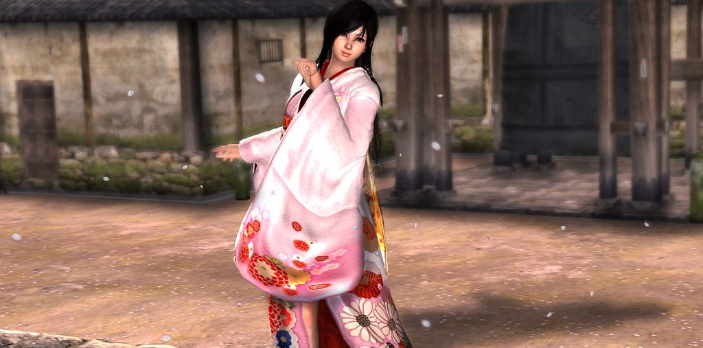 死或生：天堂图3