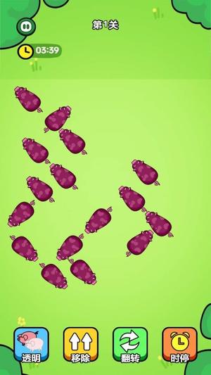 一飞冲天的猪仔图3