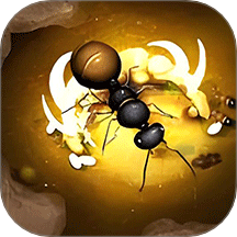 动物之森大冒险