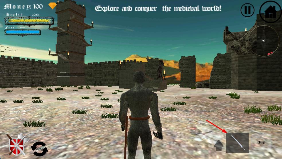 中世纪生存世界图3