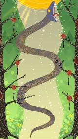 AVA埃娃的塔罗牌图1