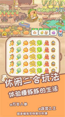 慢豚豚的生活图3