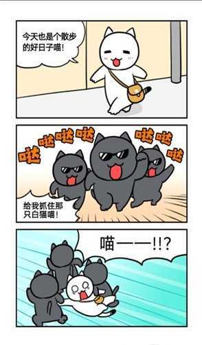 喵德瑞拉(ニャンデレラ)