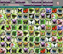 蝴蝶连连看安卓版图3