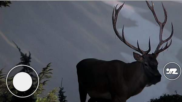 恐怖森林猎人图1