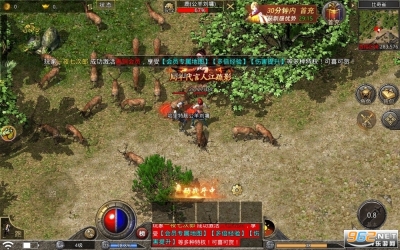 贪玩原始传奇复古传奇图6