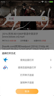 熊猫BT搜索器图2