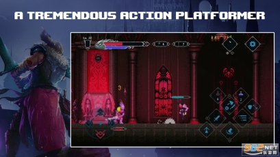 Elderand完整版图5