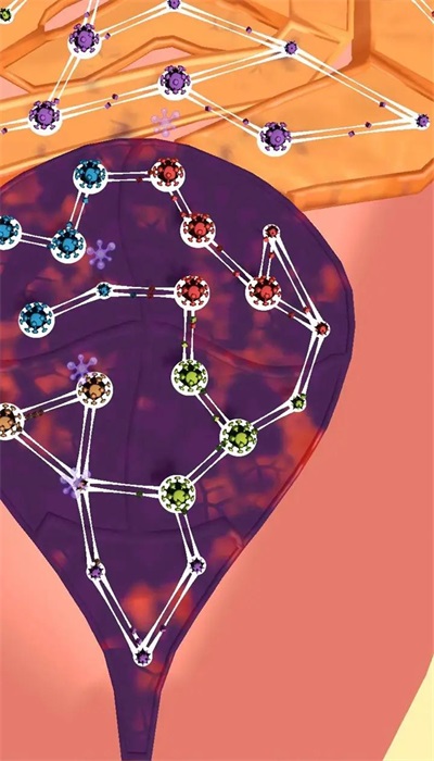 人体细胞连接图3